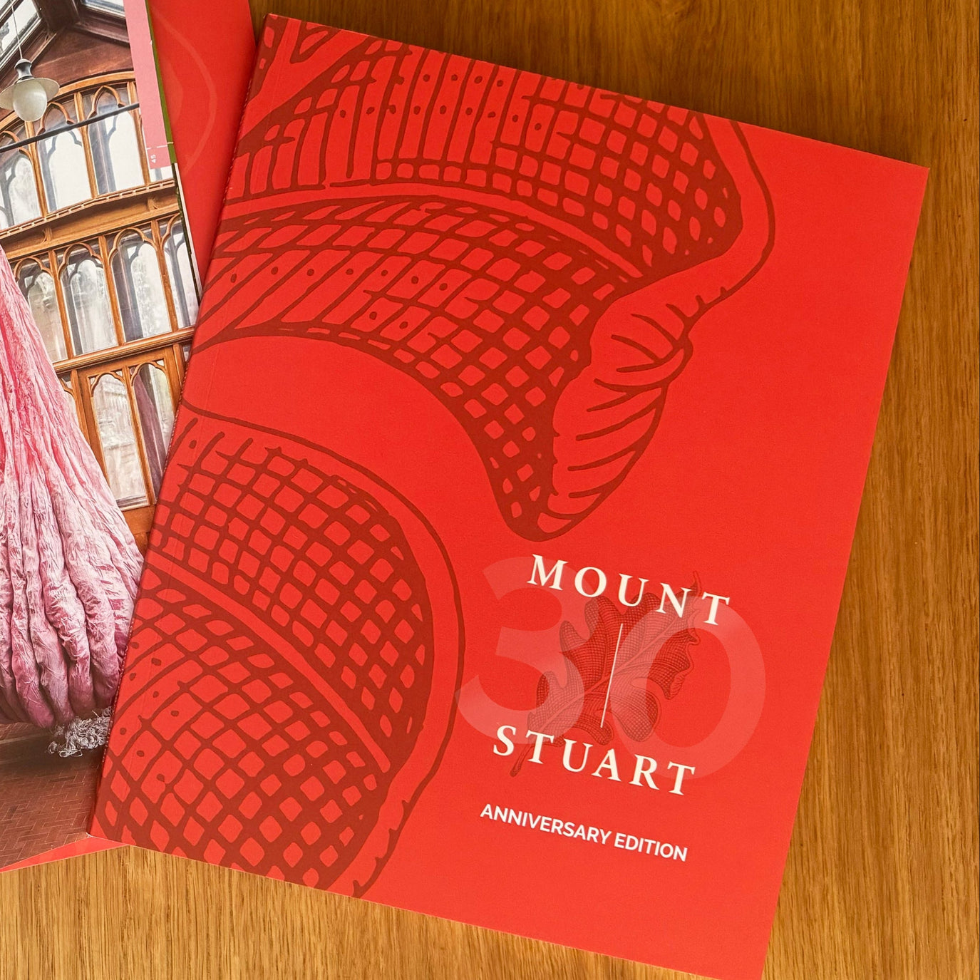 30th Anniversary Edition Guidebook