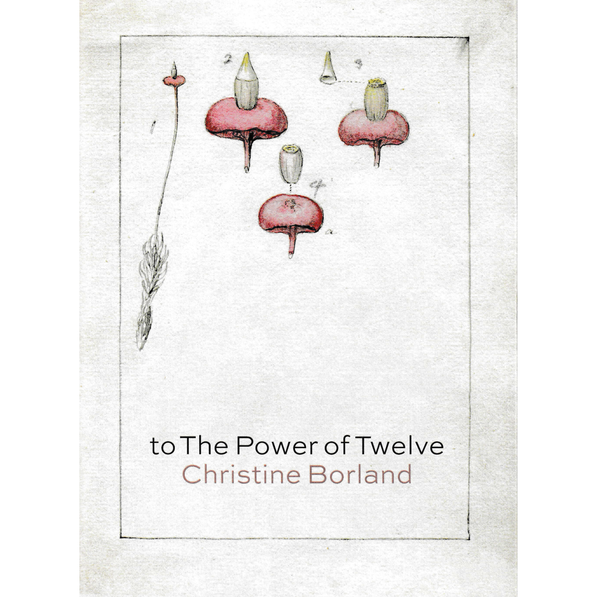 Christine Borland, To The Power of Twelve + bonus selection of 5 CVA back catalogues